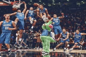 全面解析：米兰体育app官网