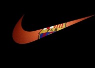 使用米兰体育app官网下载是一种怎样的体验